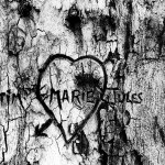 arbre-001-web