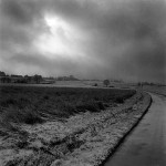 condroz-belge
