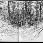 ©JR scan-carnet-de-voyage-été-2012-018-1